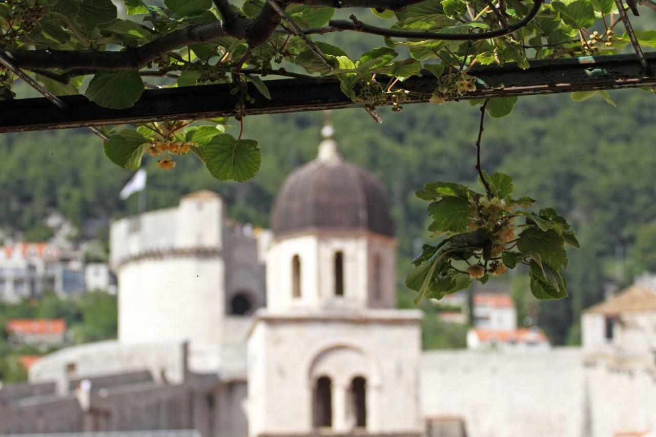 Old Town Garden Apartments Dubrovnik Exterior photo